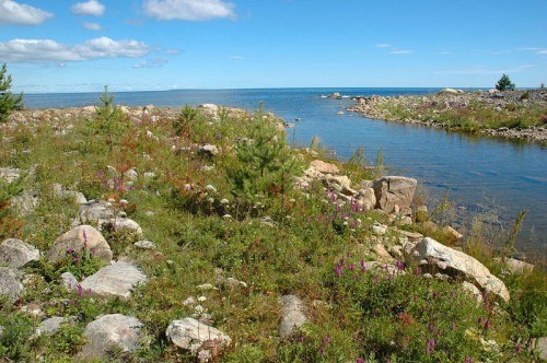Den underliga lilla "havsviken" sydost om Tosskärssand - en f d båtplats??? Del av strandäng till vänster
