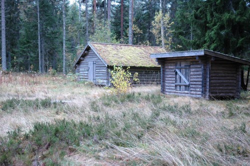 Gammal lada och senare byggd vedbod på Nybodvallen i Jättendal